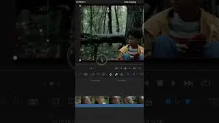 Dynamic Zoom: Da Vinci Resolve 