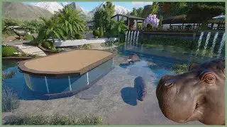 🦛Hippo habitat | Fjevær Zoo | Planet Zoo | speedbuild🌳