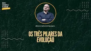 Os três pilares da evolução | Aprenda como evoluir