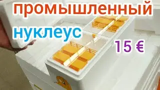 ПРОМЫШЛЕННЫЙ НУКЛЕУС. HIVE BeeBox. Нуклеус BeeBox. ПЧЕЛОВОДСТВО. УЛЕЙ ЭППС. BEEKEEPING. BEE.