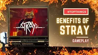 Benefits of STRAY gameplay