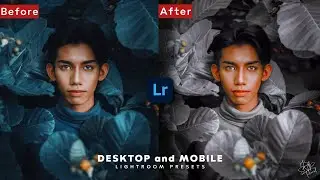 Lightroom Photo Editing Tutorial | Lightroom Preset Vol-1 | By SNR Tutorial