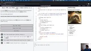 freeCodeCamp: Add a Submit Button to a Form