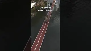 How Far Would You Make It?