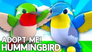 How To Get Hummingbird Pets in Adopt Me!