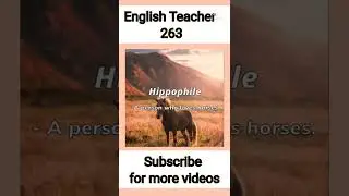 Hippophile. a person who loves a horses. #englishvocabulary #hippophile #shorts #shortvideos