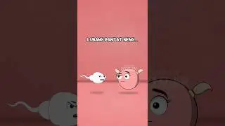 KISAH SEDIH SPERMA 