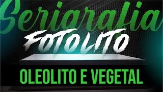 ✅ Fotolito, Oleolito e Vegetal