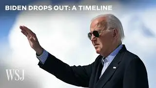 How the Anti-Biden Democrat Surge Unfolded Over 25 Days | WSJ