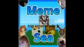 Meme sea : Top secret code from Owner!?