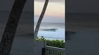 Long Perfect Backdoor Pipeline Barrel😱🙌 #surf #shorts #waves #surfing #epic #wsl #barrel #hawaii