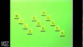 Wild Dog Rodeo - Charging The Light House (1983)