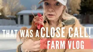 Our chickens almost got eaten! March blizzard farm prep and a coop tour!