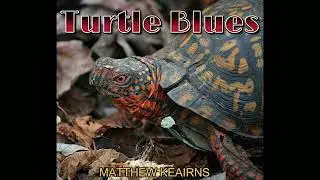 Matthew Keairns - Turtle Blues