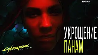 Укрощение Василиска Cyberpunk 2077, Панам и большая летающая боевая машина. Киберпанк, прохождение