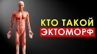 Эктоморф: Как Правильно Питаться и Накачаться Худому?