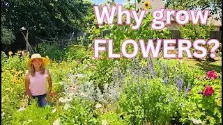 Why grow FLOWERS in a vegetable garden?