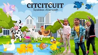 Syabbas Aliansyah - Citcitcuit (Official Music Video) #laguanakterpopuler #laguanakindonesia