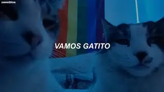 la canción del gatito en tiktok // go kitty go