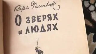 Грачёв Вадим Сергеевич. Обзор моей домашней библиотеки. Часть 153. Филиал 2. Разные книги.