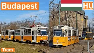 BUDAPEST TRAMS / Budapesti Villamos 2024 [4K]