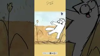 Cat Tales Out Now
