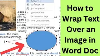 How to Wrap Text Around a Picture in Word