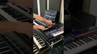 ARP 2600m | Moog Matriarch | KeyStep Pro JAM 