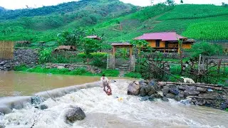 Heavy rain causes floods - SANG VY fights against mother nature, saves CHICKENS, DUCKS and GARDEN