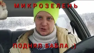 ПРОДАЛ МИКРОЗЕЛЕНЬ НА 300!!! #15