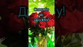 С Днем Дружбы! За Друзей! 🍷🎉 Песня! ОЧЕНЬ красивое поздравление на День Дружбы #shorts