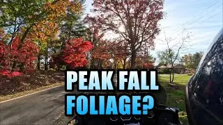 The best fall foliage colors we see in Maryland?