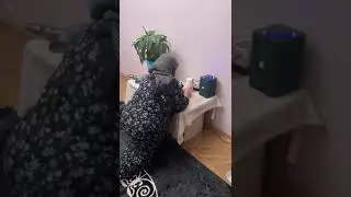 учим Алису готовить в Дагестане 🤣🤣 Хозяйки молча завидуйте