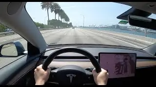 2021 Tesla Model 3 Standard Range - Miami, Florida - POV In Depth Tour & Test Drive