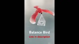 Balance Bird Toy Desk 