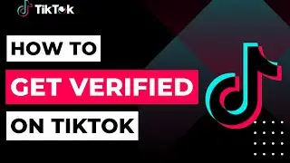 How to Get Verified on TikTok | 2023