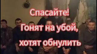 Спасайте! Гонят на убой, хотят обнулить