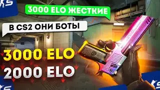 ЧТО СТАЛО С FACEIT В CS 2 ? FACEIT УМИРАЕТ?))))