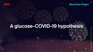 A glucose-COVID-19 hypothesis