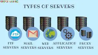 What are Servers?