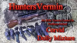 Air Rifle Hunting, Corvid Dolly Mixture