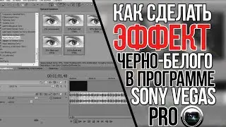 Как сделать видео черно-белым в Sony Vegas?