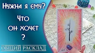 🔥Нужна ли я ему?/Чего он хочет?/Каким видит наше будущее?