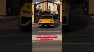 Luxurious cars in Dubai