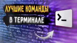 Топ команд в терминале | Работа с файлами | Часть 1 [Junior]