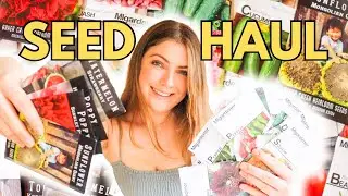 *HUGE* SPRING SEED HAUL 2024! Baker Creek & MIGardener | Rare Heirloom varieties 