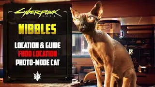 How To Find Nibbles in Cyberpunk 2077 | Cat Food AND Secret Shard Location!