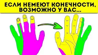 Если немеет левая рука - Альцгеймер и Паркинсон рядом, а если правая рука...