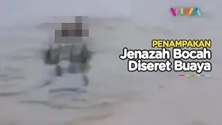 VIDEO Bocah 10 Tahun Diterkam Buaya, Warga Belah Perut Sang Predator