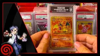 TCC GRADING RETURN VIDEO! Showcasing All Your Freshly Graded Slabs!